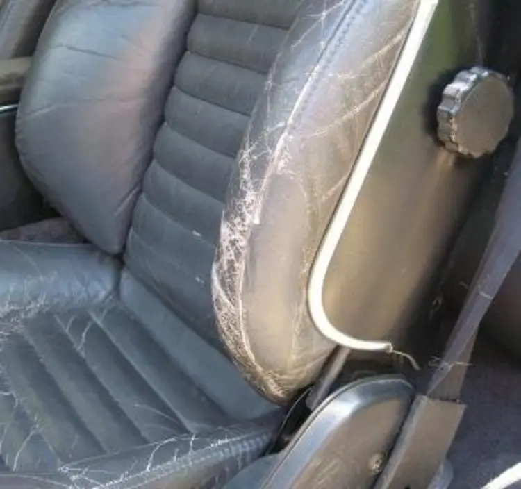 Leather car seats will crack due to sun rays while Alcantara can withstand wear and tear.