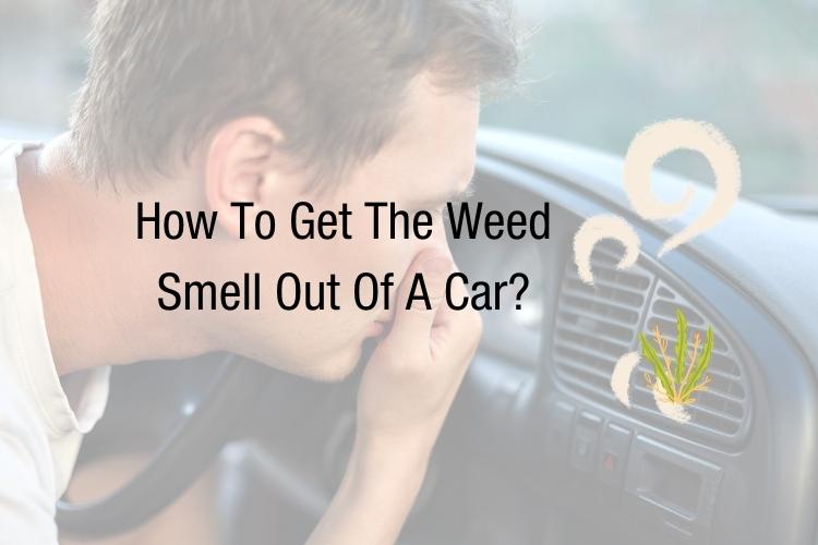 How To Get The Weed Smell Out Of A Car?
