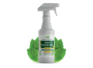 using mdxconcepts Organic Pest Control Spray to get rid of ants in cars