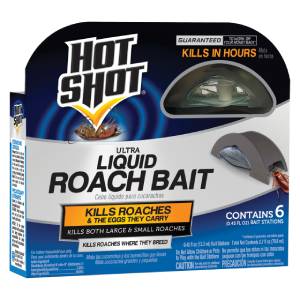  Hot Shot to get roaches out of car