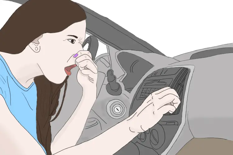 Gas Smell In Car: What Causes and How To Get Rid Of?