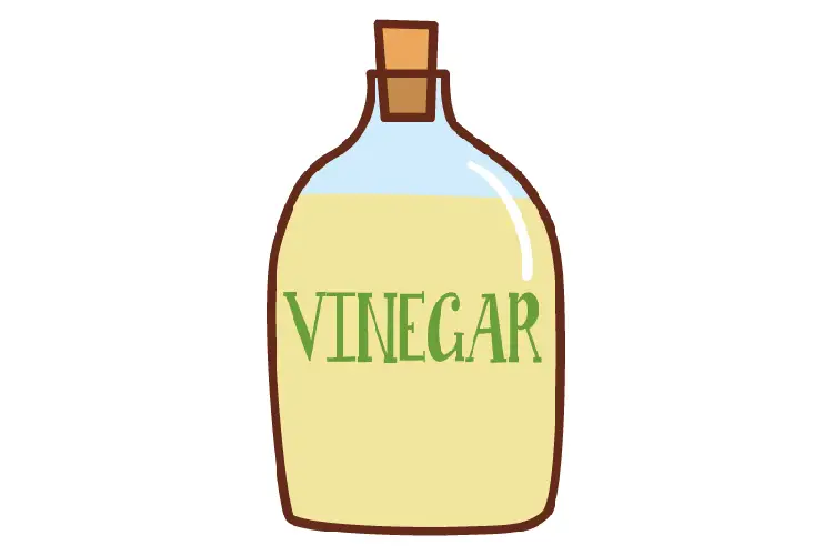 Can We Use Vinegar On Car Paint Without Damage?