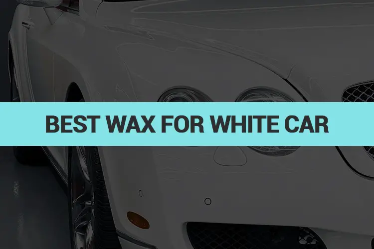 The 5 Best Car Wax for White Cars (Worth To Buy in 2022)