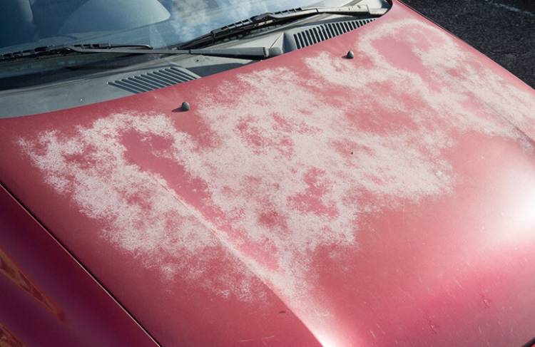 lacquer thinner will damage car paint