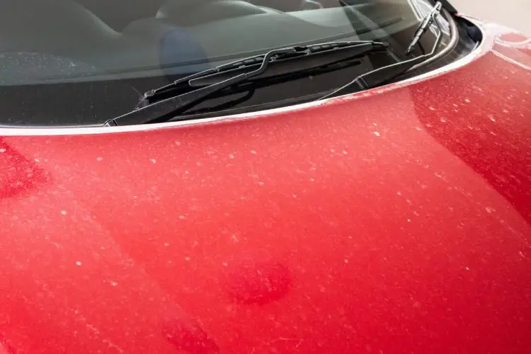 Water Spots on Cars Won’t Come Off - What To Do?