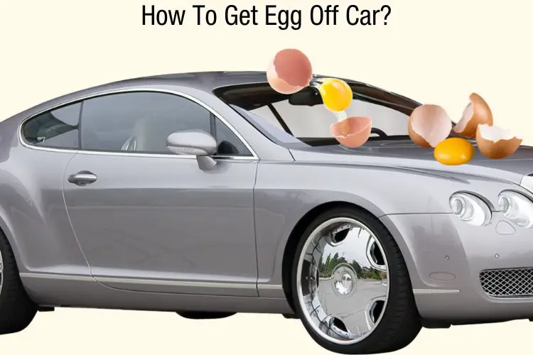 get egg off car without damage