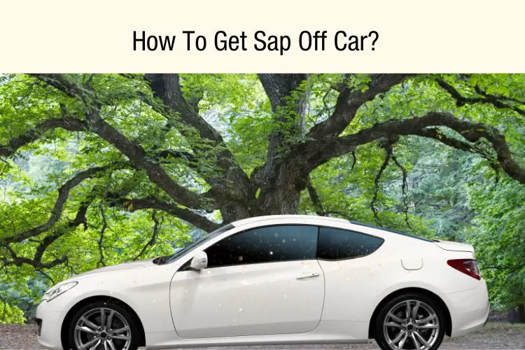 How To Get Sap Off Car Easily With 5 Steps